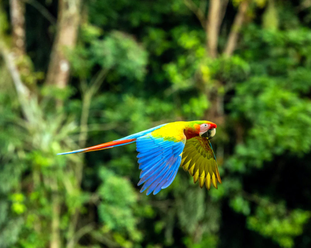 Costarica