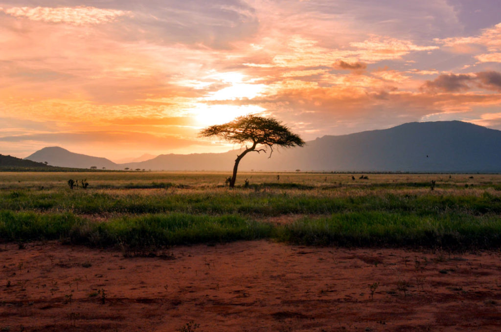 Kenya
